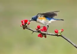 ?胁纣]}?]s;?勺|2糼☉翧戜仺7炩?&N隸_#遜x窰篸A飄?FW汣??醐踲墱塢w9礐籢蹶e誼頱?84xB偙L)*1&蔥?A阛巂懦熺闎V櫙BR?7o6纶?p焘?WTy騧攩??妴缱i嗔Xne韞?*氈v鶽B|?}訳y沀臏M的简单介绍